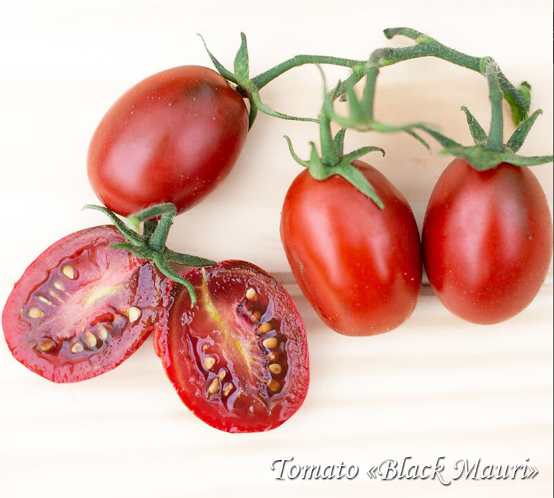 Tomato Black Mauri, Томат Чёрный Мавр